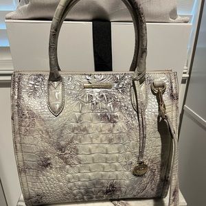 Brahmin Caroline in Flurry
